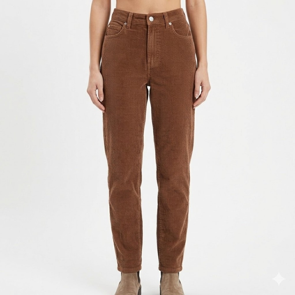 BDG Urban Outfitters Mom High Rise Corduroy Pants Brown Size 27 Tapered Retro